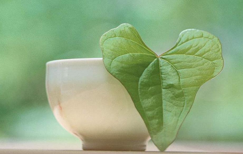 让生活过得活色生香,让你的生活香起来