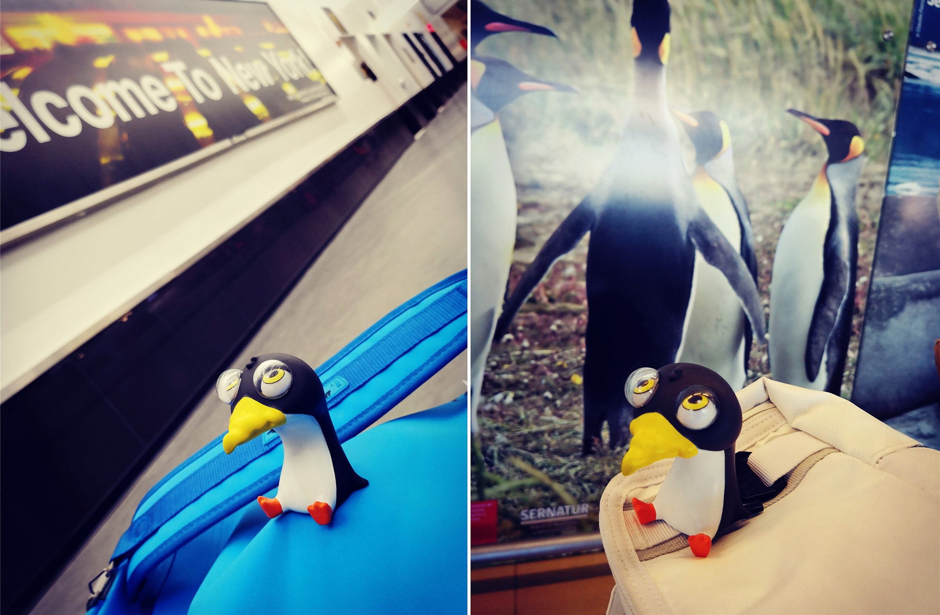 神奇的探险之旅南极冰岛,远途旅行之旅