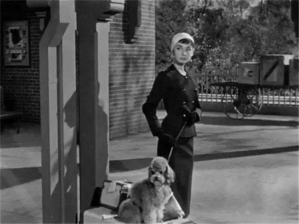 纪梵希哪年离世的,纪梵希死亡色号