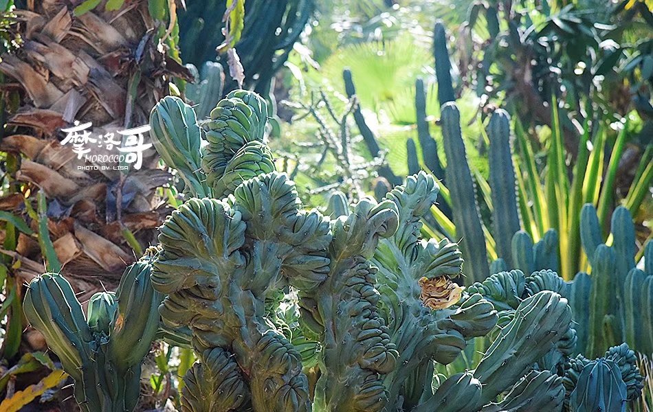 走进摩洛哥,摩洛哥旅游马拉喀什游记