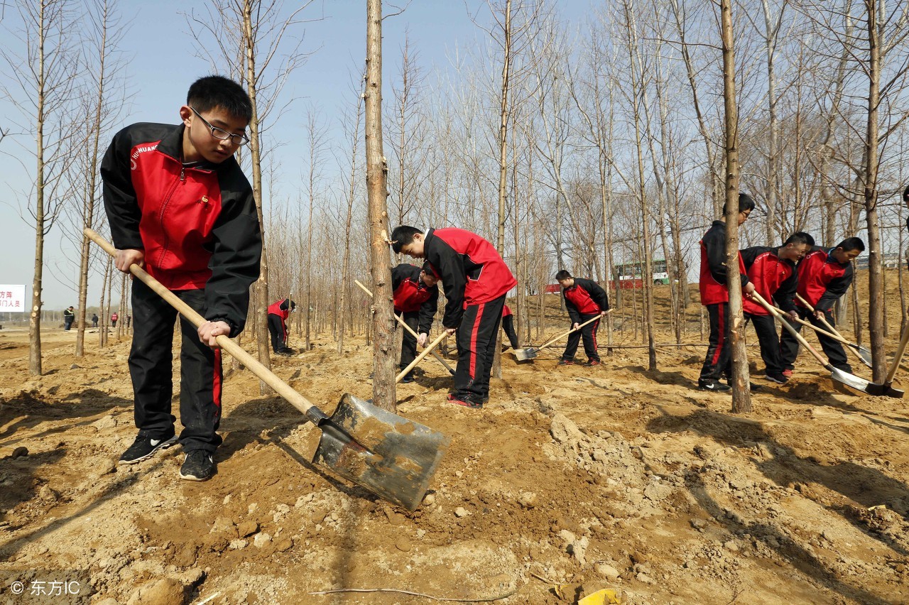 植树节怎么宣传,植树节公益广告2023年