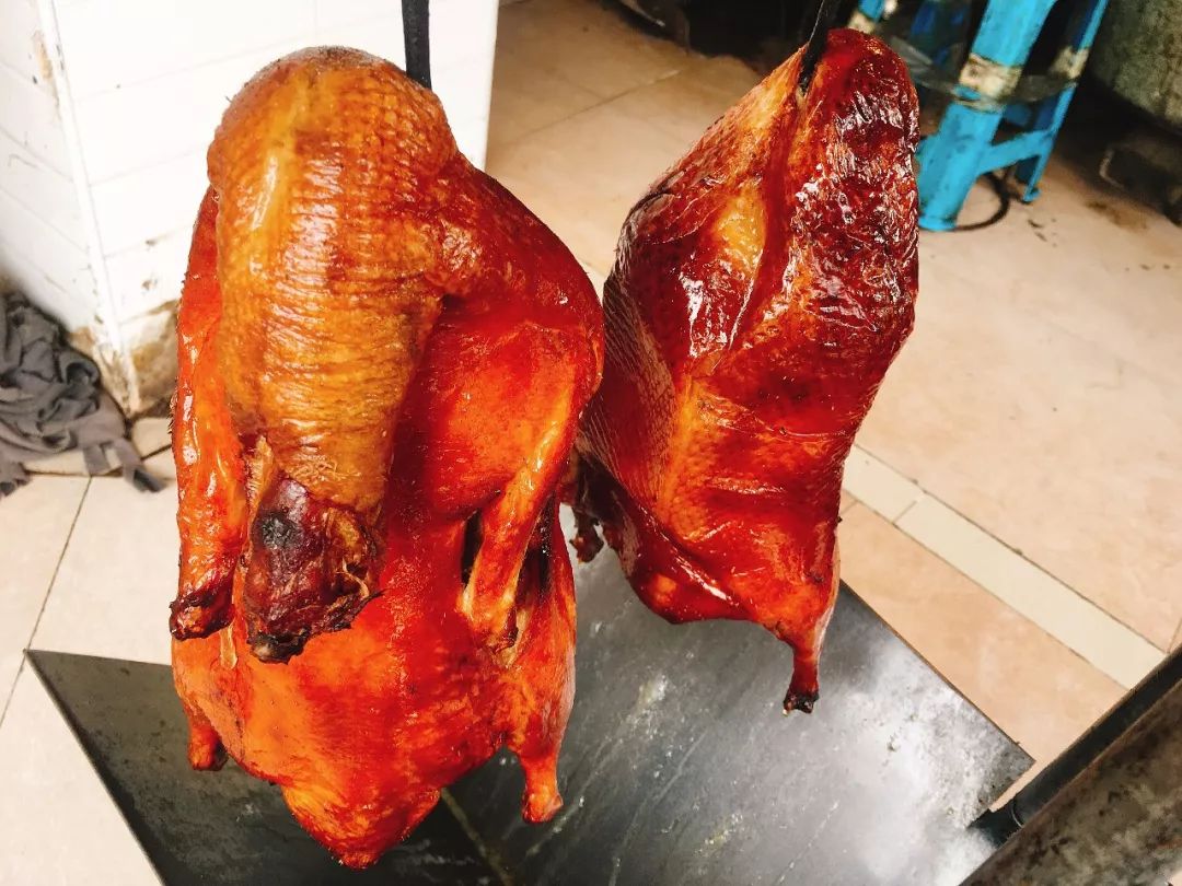 胖胖胖日常生活,胖胖胖的日常生活