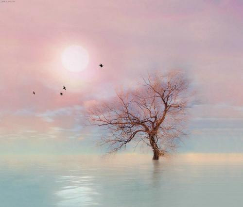 中考必考解一元二次方程,中考一元二次方程的题型及解法