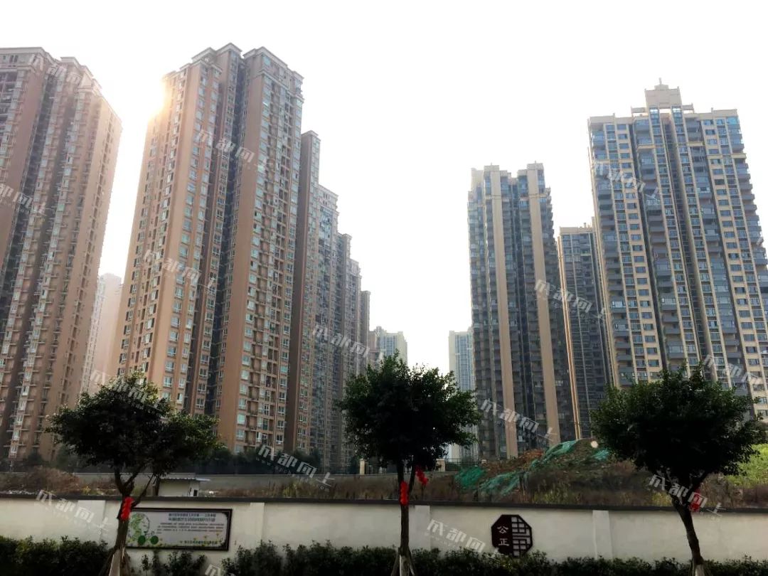 锦江区的核心地段，没想到现在是这样