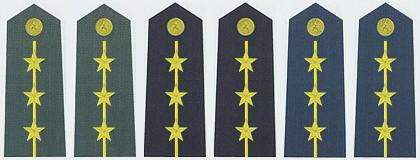 中国军衔和军官资历大全,中国的军官军衔等级