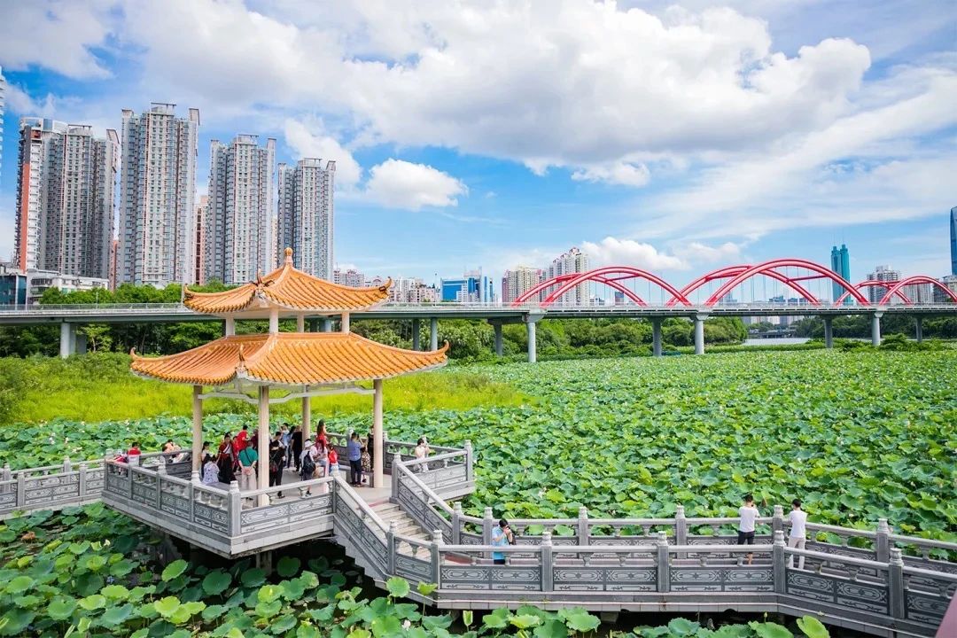 最美湖泊小众风景,最美湖泊西湖