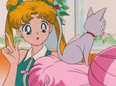 感觉自己养了一只猫是假猫 (你会觉得自己养了一只假猫吗)