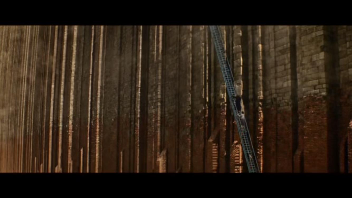 加拿大斯芬克斯无毛猫拿斧头,斯芬克斯猫被人们称为短脚猫