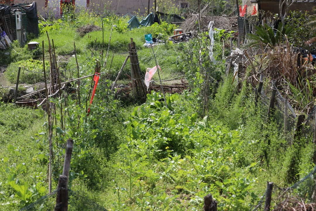 福建土楼你不知道的,福建土楼是否值得看