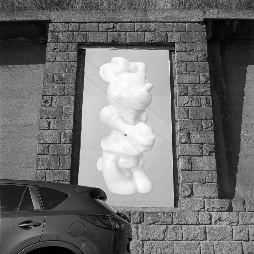 特殊展览在哪里,特殊展览活动