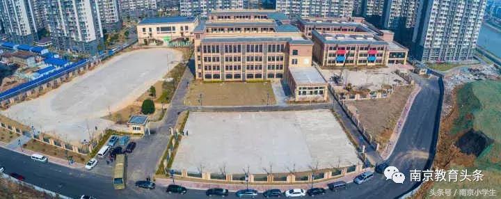 五老村小学、一幼开分校了！关于师资、课程，你想知道的都在这里