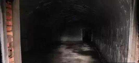 国外传销真实生活揭秘,国外传销真实生活揭秘最新