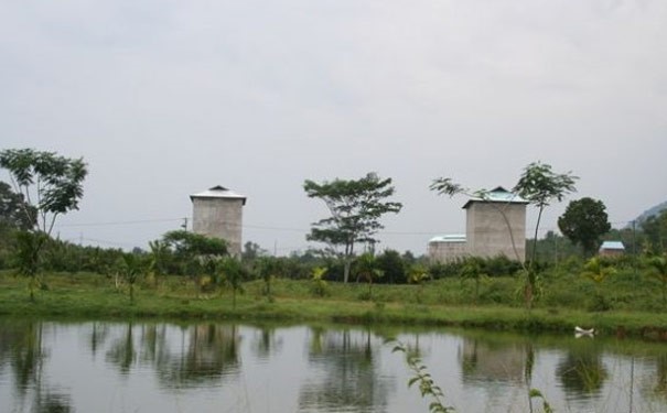 燕窝相关问答,燕窝讲解