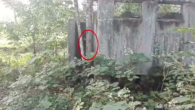 民间故事灵异鬼事,民间发生的灵异鬼故事