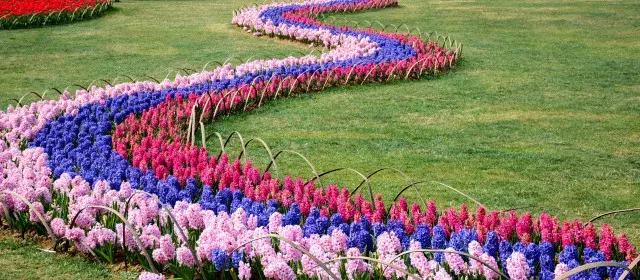 石象湖踏青,蒲江石象湖门票价格多少