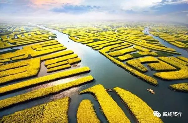 一秒钟搞定“花痴”攻略，别说我没帮你~