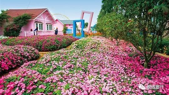 一秒钟搞定“花痴”攻略，别说我没帮你~