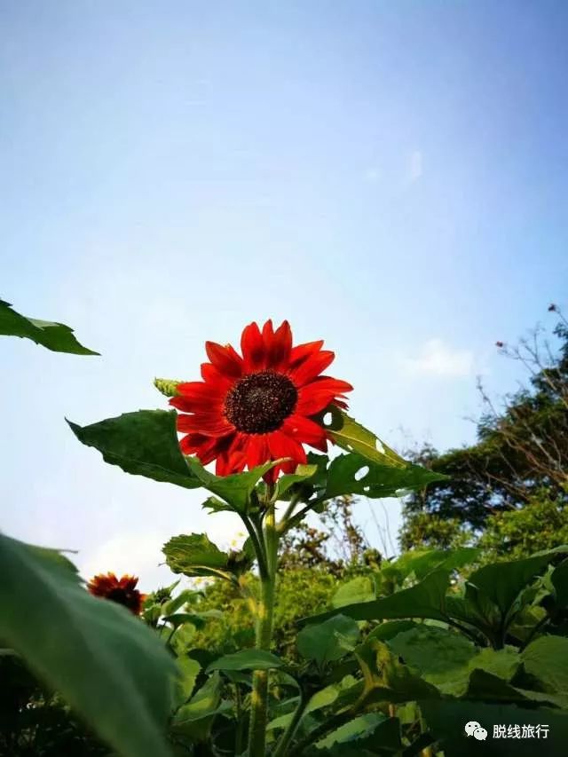 一秒钟搞定“花痴”攻略，别说我没帮你~