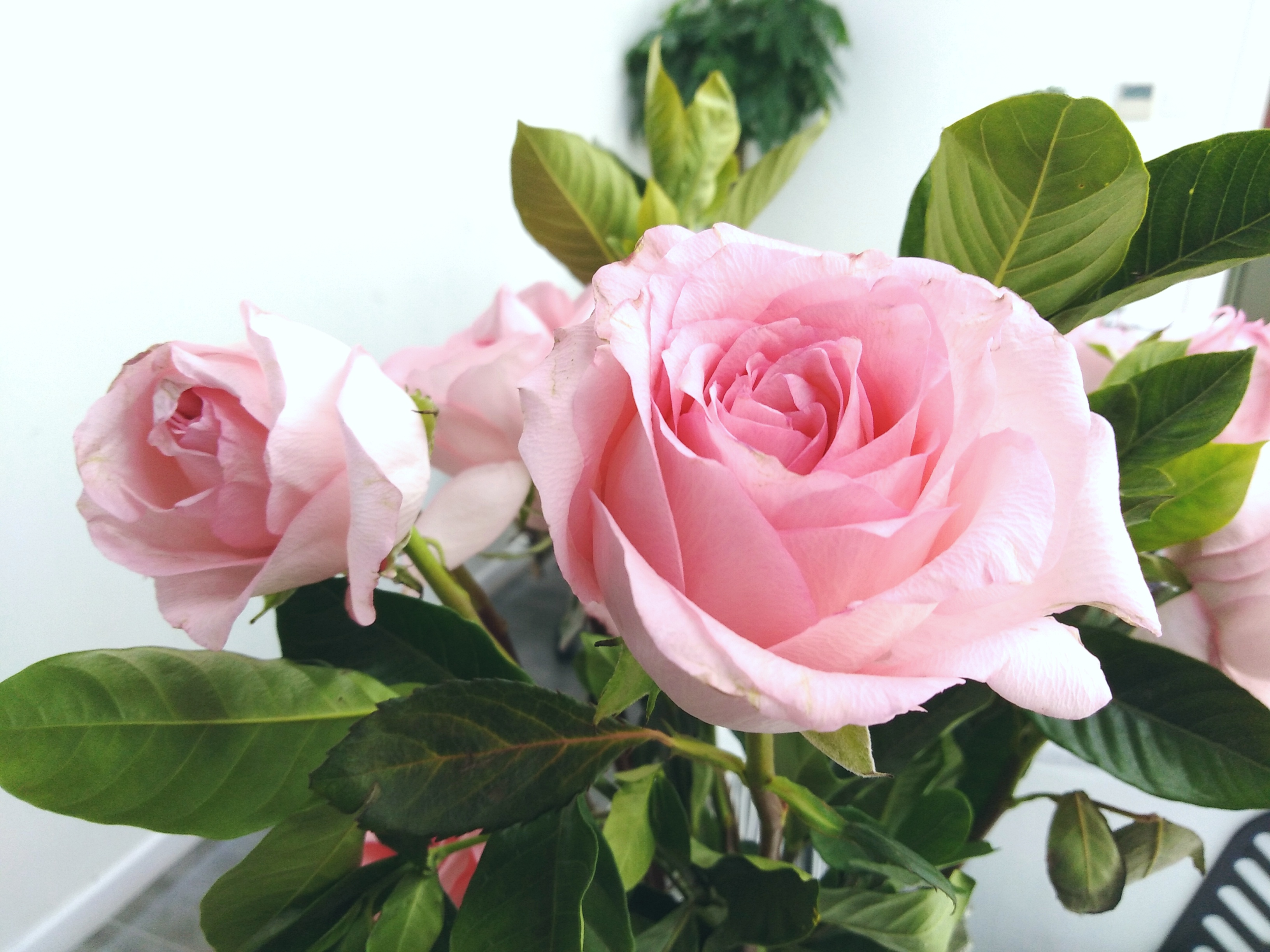 荣耀畅玩7c如何扩大内存,荣耀畅玩7c能玩王者荣耀吗