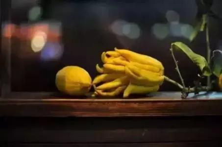 熏香佛手视频,佛手和香橼两味药加起来有啥功效