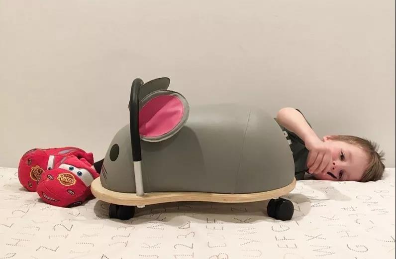 乐高玩具可以组装的快乐旅行车,乐高玩具组装双层卡车和跑车