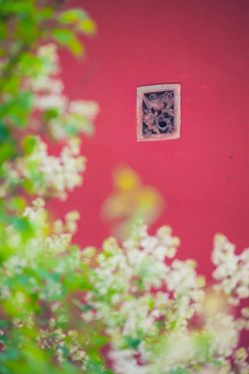 合肥到北京怎么样最省钱,合肥到南昌高铁2小时最新消息