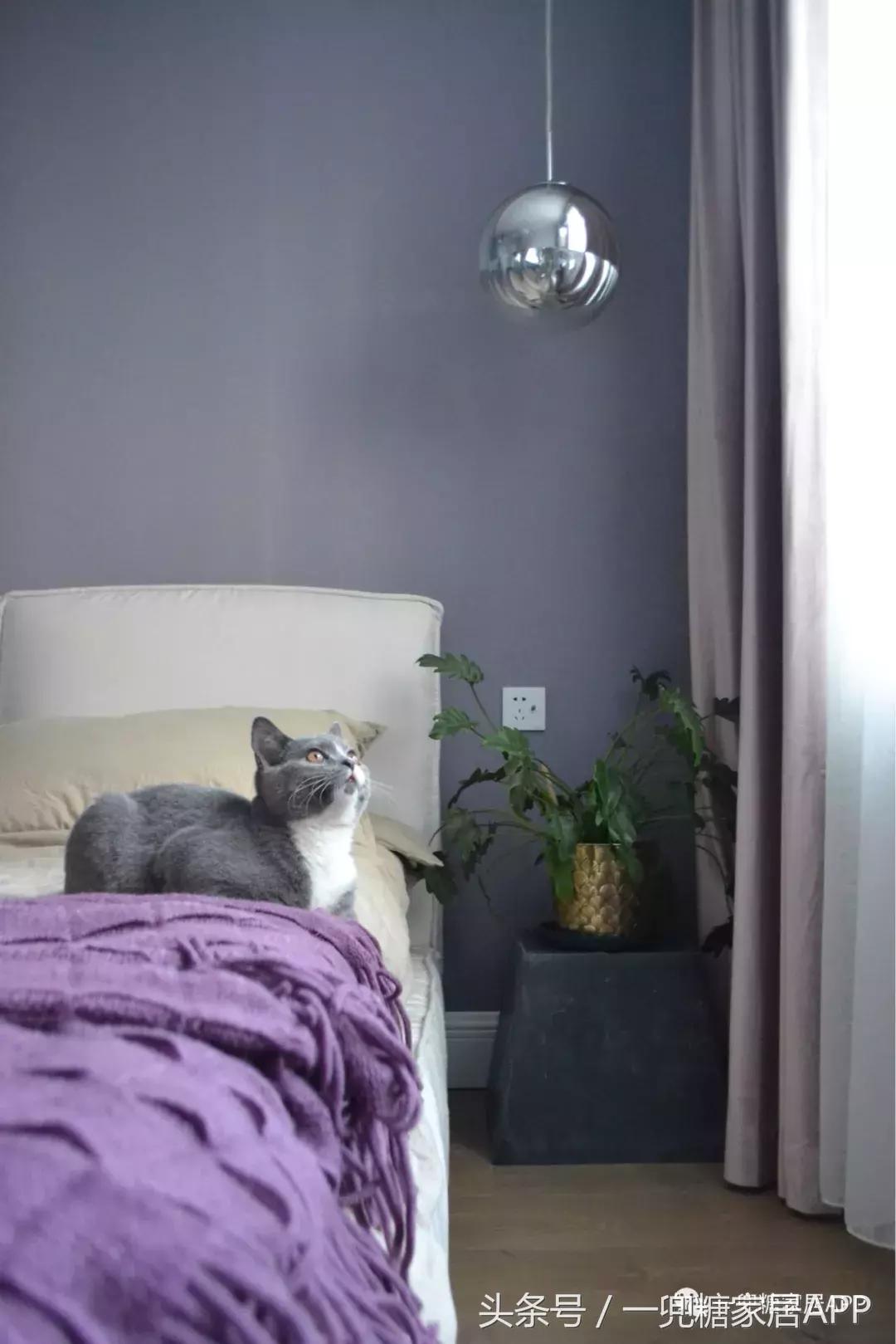 没做无主灯的吊顶,无主灯吊顶