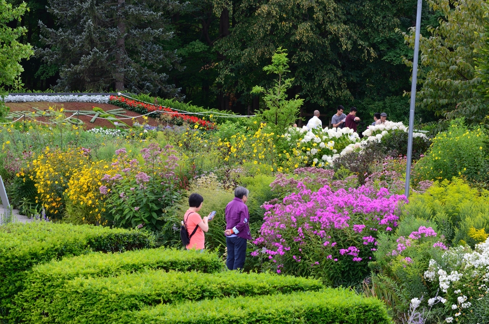 旅行多伦多春天赏花风景 (世界十大赏花地方)