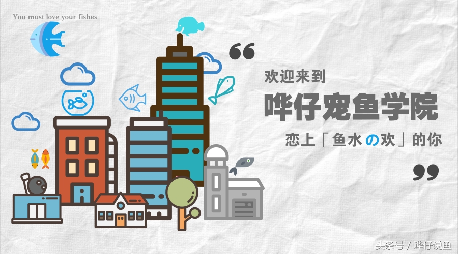 不加硝化细菌新鱼缸能养鱼吗,鱼缸如何不用硝化细菌养鱼