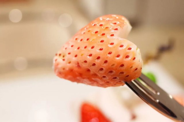 陈冠希吃的苹果,陈冠希吃的白草莓什么品种