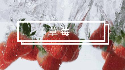 陈冠希吃的苹果,陈冠希吃的白草莓什么品种