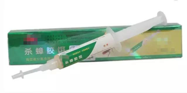 南方的“小强”,能把东北爷们活活吓哭!教你4招拿下它们