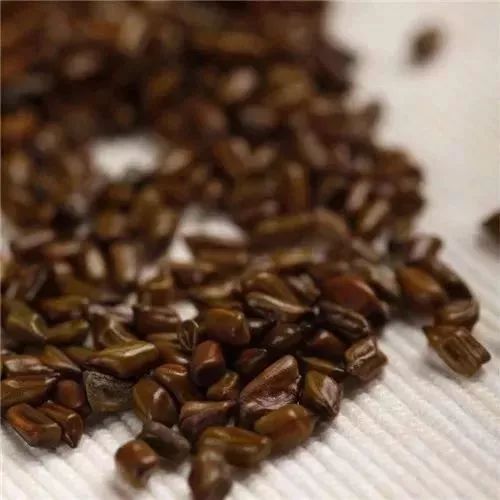 颈椎保健按摩枕头十大名牌,老傅家颈椎按摩枕头黑科技