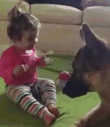 家里的萌宠,家里的萌宠长大后会变成什么样子