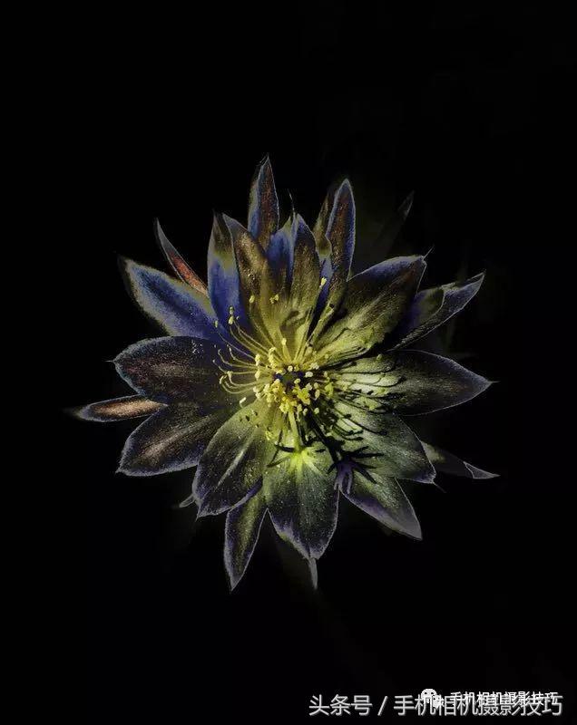 动动手指就能做出美丽的作品,动动手指头就能找到照片的乐趣