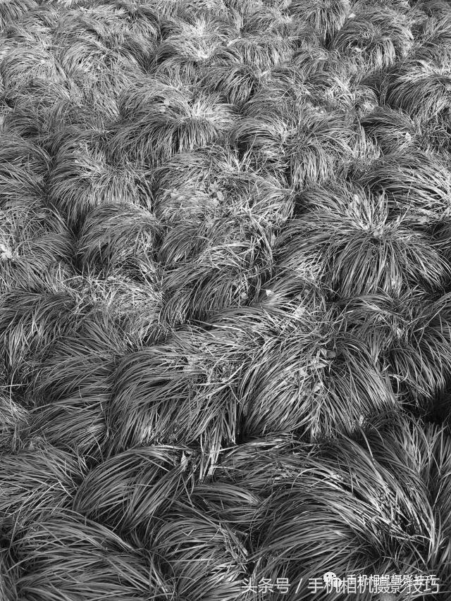 动动手指就能做出美丽的作品,动动手指头就能找到照片的乐趣