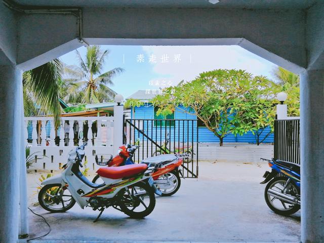 这个即将沉没的国家因专家一句话燃起了希望事实怎样自己去看