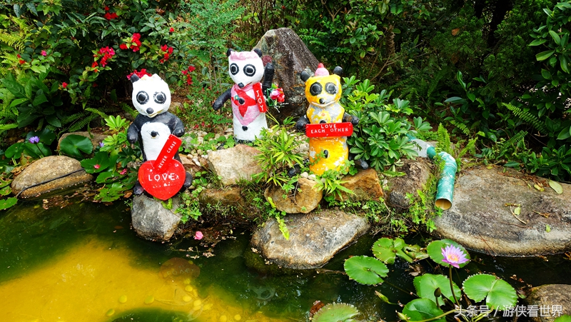 一岛三桥：宁静迷人的香港马湾岛眺望汀九青马汲水门大桥