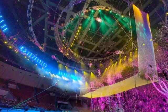 想投食小白虎、赏国际马戏？你有时间，小编有票，周末灵玲走起