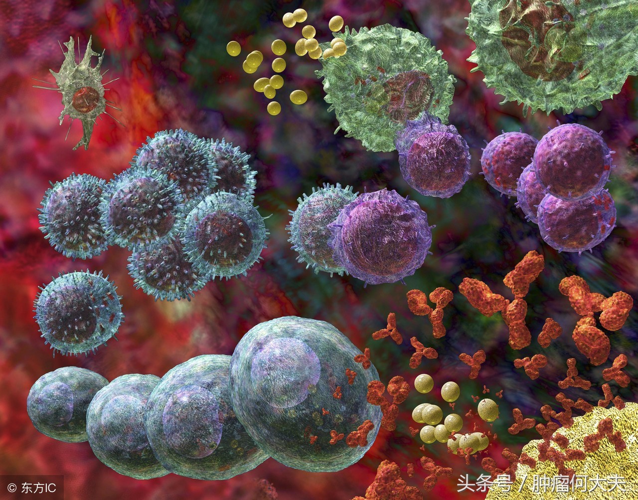 白细胞没有持续性增高是白血病吗,白细胞异常增高是白血病吗