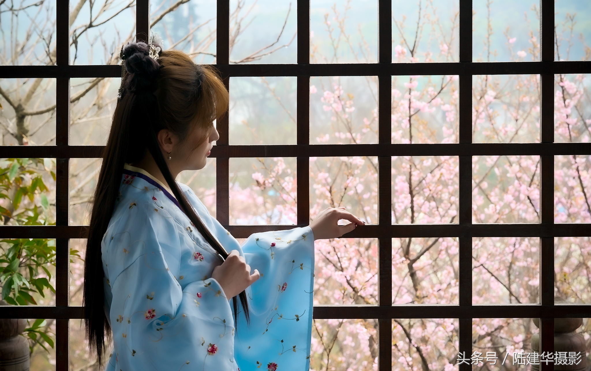 太湖赏樱花鼋头渚旅行攻略,太湖鼋头渚风景区看樱花旅游攻略