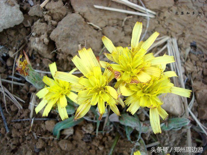 郑州人真正的后花园,郑州人少环境好的地方