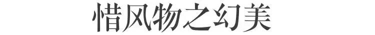 拥有季节感,是过上精致生活的第一步