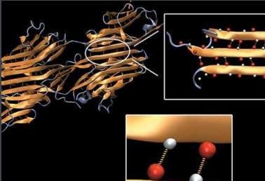 蚕丝跟蛛丝有什么区别,蚕丝与蜘蛛丝区别视频