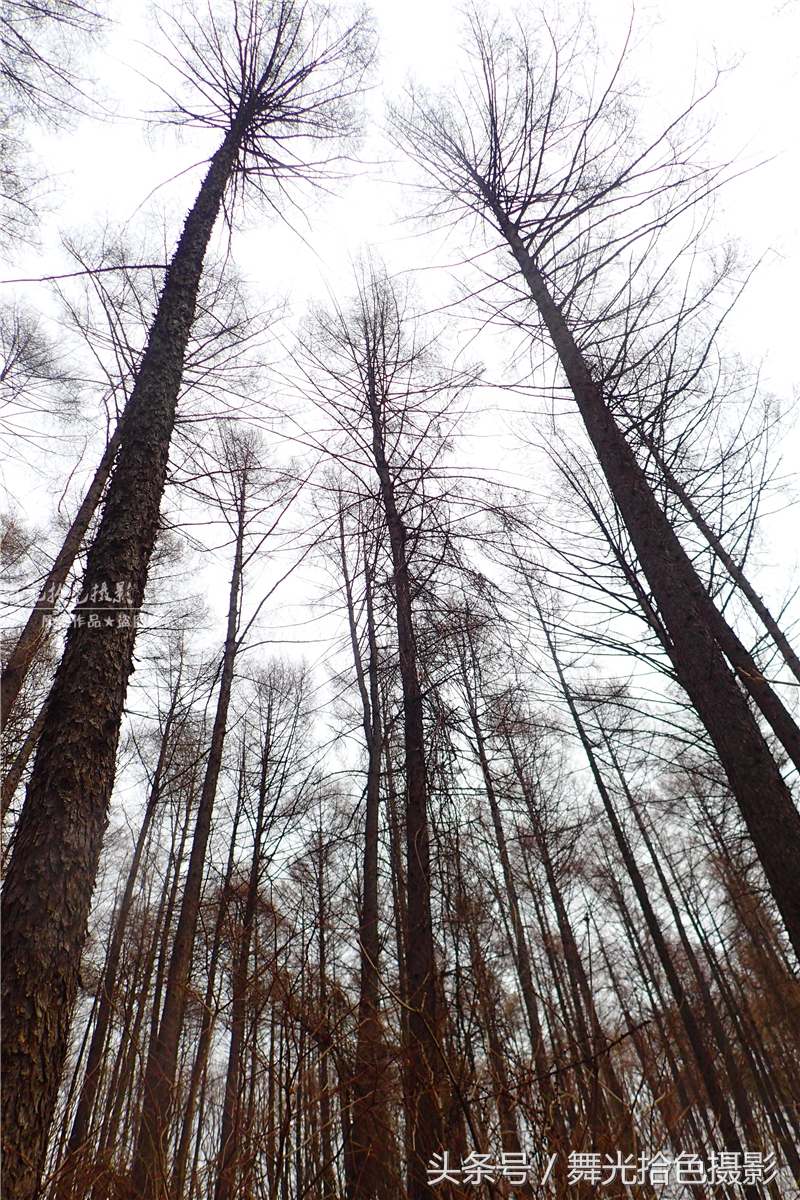 本溪关门山徒步攻略,边走边拍风景视频素材