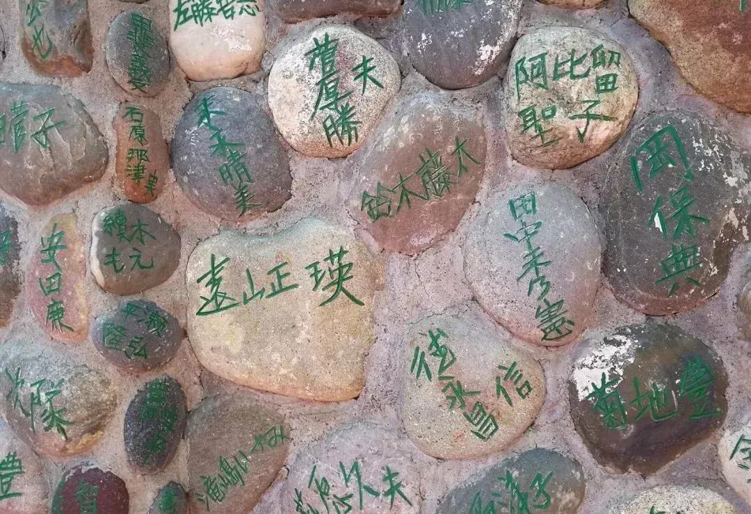 恩格贝｜魂牵梦绕的地方