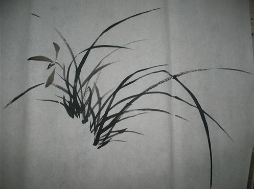 兰花画法一学就会,徐湛兰花画法步骤