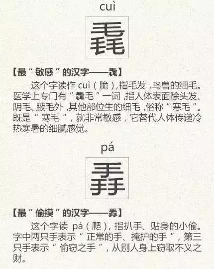 看到这些汉字,我感觉自己的语文白学了!