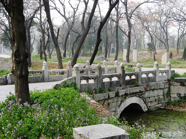 孔林山东曲阜,曲阜孔林古会