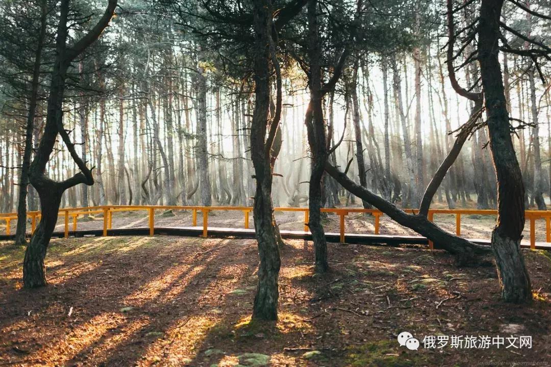 世界遗产名录喀斯特,俄罗斯世界遗产教堂